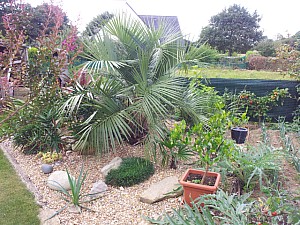 Thumbnail of Non Classe.jpg