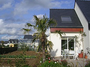 Thumbnail of trachy-C-2006.jpg