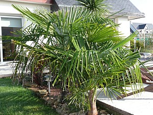 Thumbnail of 2007.jpg