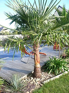 Thumbnail of 2010.jpg