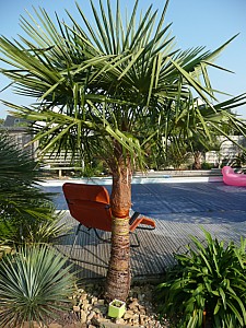 Thumbnail of 2011.jpg