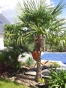 Thumbnail of 2012.jpg