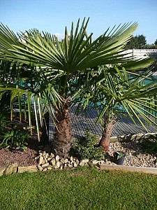 Thumbnail of 2008.jpg