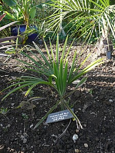 Thumbnail of P1030112.jpg