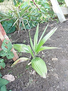 Thumbnail of P1030117.jpg