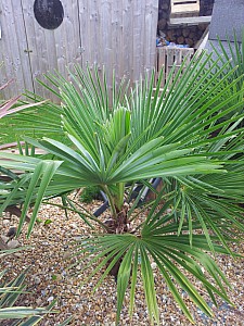 Thumbnail of Septembre-2012-0060.jpg