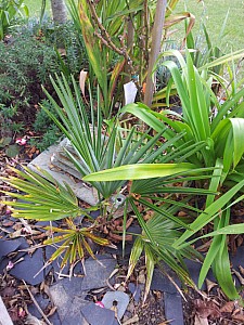 Thumbnail of Septembre-2012-0065.jpg