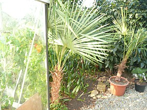 Thumbnail of C-2011.jpg