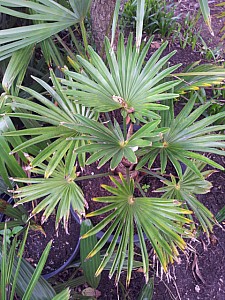 Thumbnail of Septembre-2012-0087.jpg