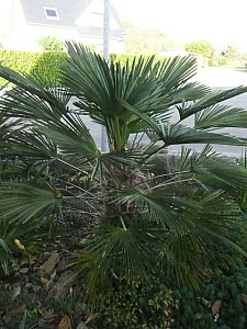 Thumbnail of 2009.jpg