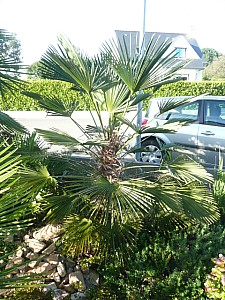 Thumbnail of 2010.jpg