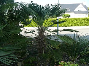 Thumbnail of 2011.jpg