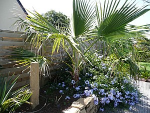 Thumbnail of 2007.jpg