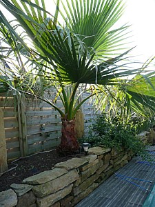 Thumbnail of 2008.jpg