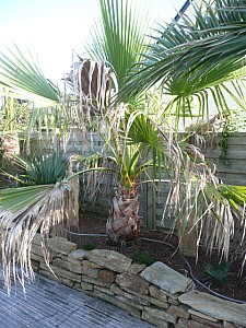 Thumbnail of 2010.jpg