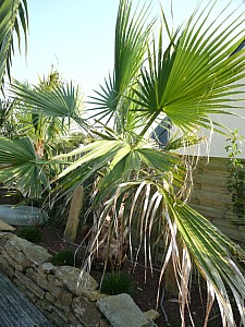 Thumbnail of 2011.jpg