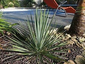 Thumbnail of B-2010.jpg